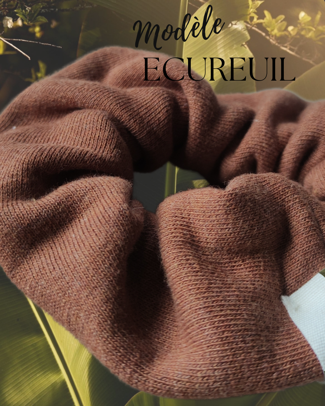 les chouchous carlotta