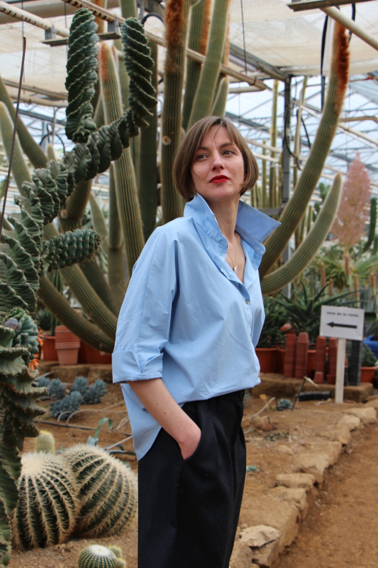 IMG_9186 Chemise Deneb bleu ciel