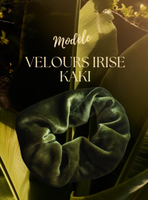 Les chouchous CARLOTTA